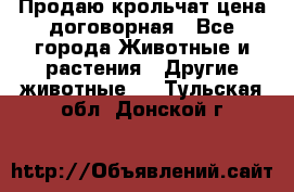 Продаю крольчат цена договорная - Все города Животные и растения » Другие животные   . Тульская обл.,Донской г.